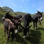 호텔 De La Poste Oust