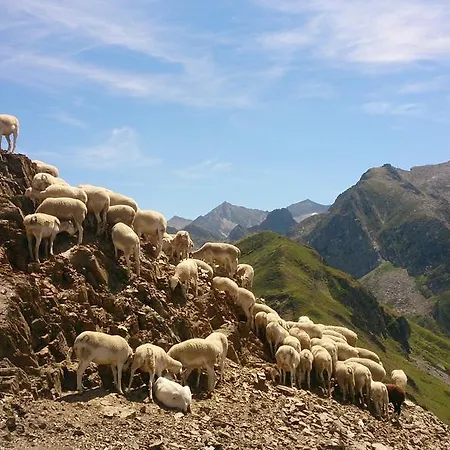 De La Poste Szálloda Oust