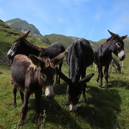 Szálloda De La Poste Oust