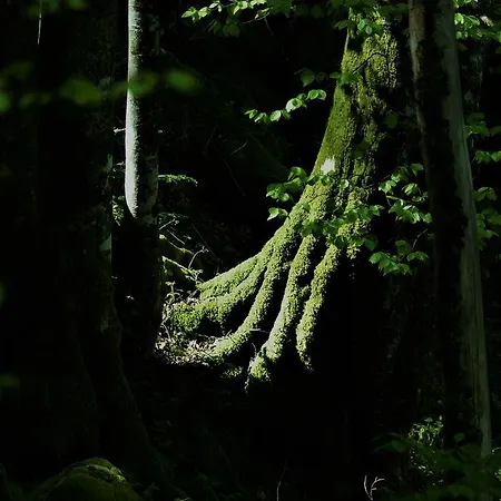 Szálloda De La Poste 2*