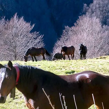 De La Poste Oust