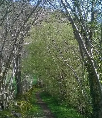 De La Poste Hotel 2*