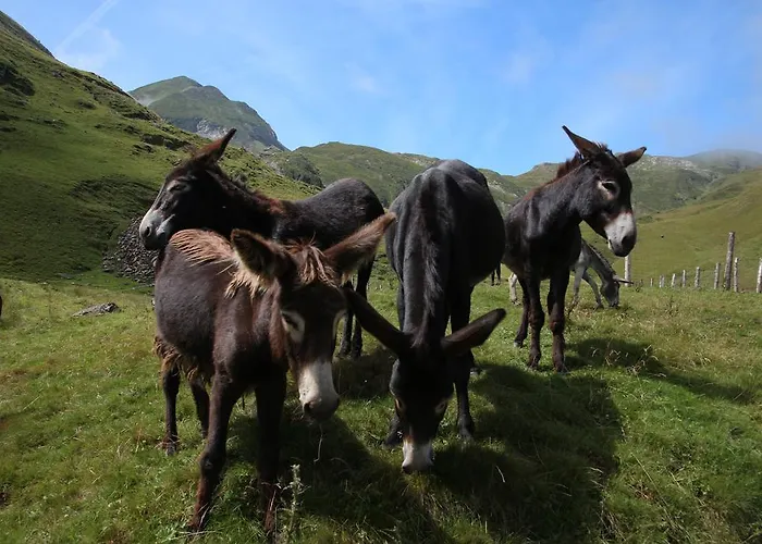 Hotel De La Poste Oust